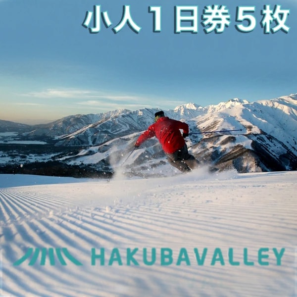 2025-2026 HAKUBA VALLEY 10 スキー場共通リフト券【小人1日券5枚】