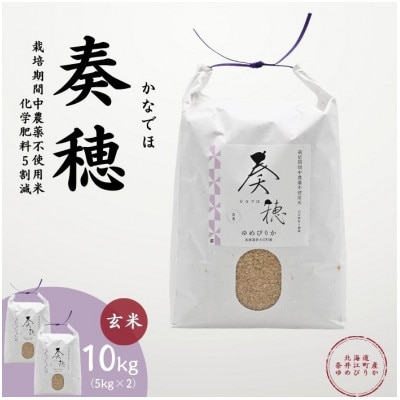 北海道奈井江産ゆめぴりか『奏穂(かなでほ)』10kg　栽培期間中農薬不使用米(化学肥料5割減)