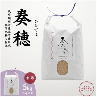 北海道奈井江産ゆめぴりか『奏穂(かなでほ)』5kg　栽培期間中農薬不使用米(化学肥料5割減)