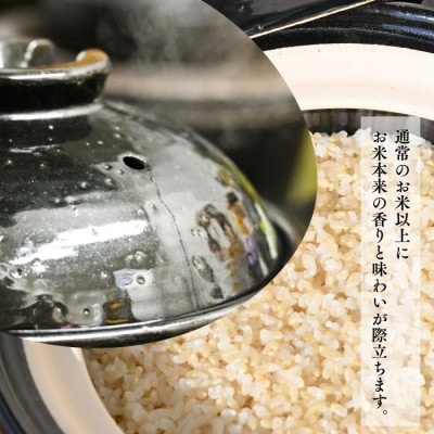 北海道奈井江産ゆめぴりか『奏穂(かなでほ)』5kg　栽培期間中農薬不使用米(化学肥料5割減)