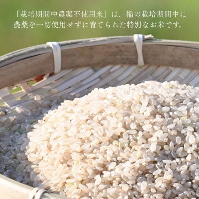 北海道奈井江産ゆめぴりか『奏穂(かなでほ)』1kg　栽培期間中農薬不使用米(化学肥料5割減)