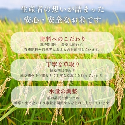 北海道奈井江産ゆめぴりか『奏穂(かなでほ)』1kg　栽培期間中農薬不使用米(化学肥料5割減)