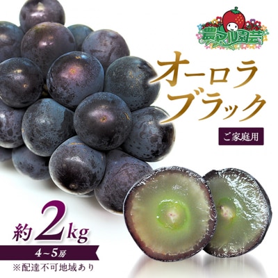 ぶどう オーロラブラック 約2kg 4～5房 ご家庭用 葡萄 2025年[NO5765-0697]