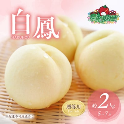 桃 白桃 白鳳 約2kg 5～7玉 贈答用 もも フルーツ 2025年[NO5765-0683]