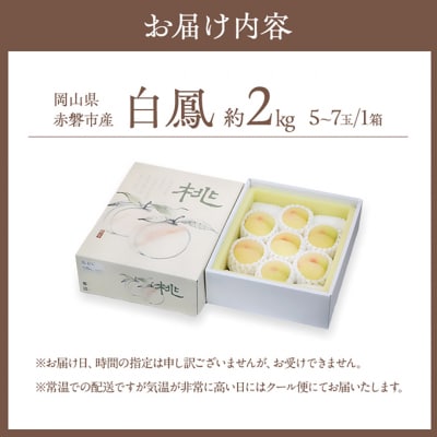 桃 白桃 白鳳 約2kg 5～7玉 贈答用 もも フルーツ 2025年[NO5765-0683]