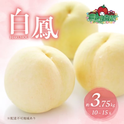 桃 白桃 白鳳 約3.75kg 10～15玉 進物用 もも 2025年[NO5765-0685]