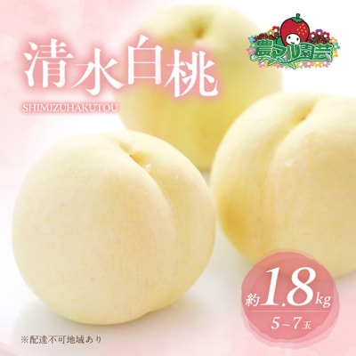 桃 清水 白桃 約1.8kg  5～7玉 進物用 もも 2025年[NO5765-0687]