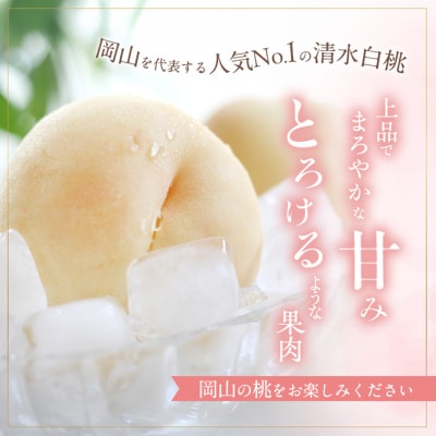 桃 清水 白桃 約1.8kg  5～7玉 進物用 もも 2025年[NO5765-0687]