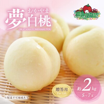 桃 おかやま 夢 白桃 約2kg 5～7玉 贈答用 もも 2025年[NO5765-0689]
