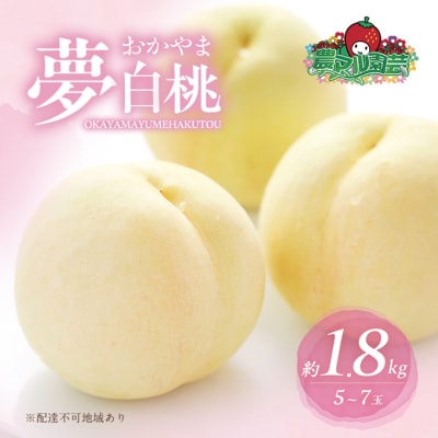 桃 おかやま 夢 白桃 約1.8kg 5～7玉進物用 もも 2025年[NO5765-0690]