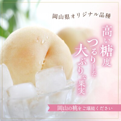 桃 おかやま 夢 白桃 約1.8kg 5～7玉進物用 もも 2025年[NO5765-0690]