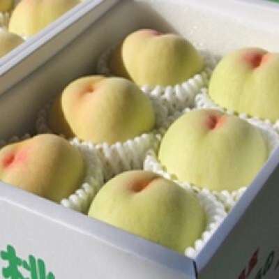 桃 おかやま 夢 白桃 約1.8kg 5～7玉進物用 もも 2025年[NO5765-0690]