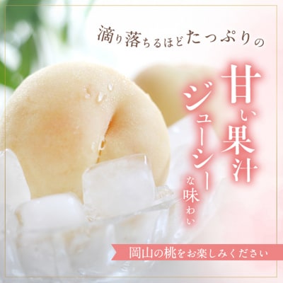 桃 訳あり品 白桃 白鳳 約1.8kg 5～7玉 もも 2025年[NO5765-0842]