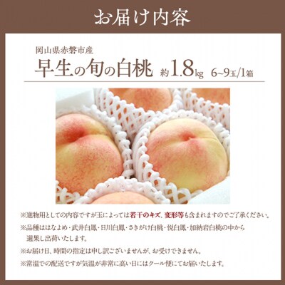 桃 2025年 先行受付 早生の旬の 白桃 約1.8kg 6～9玉 [NO5765-1007]