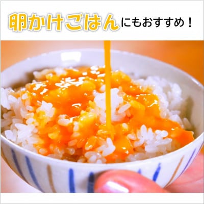 こくみたまご お徳用5kg入 (78個前後)