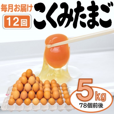 【毎月定期便】こくみたまご 5kg入 (78個前後) 全12回