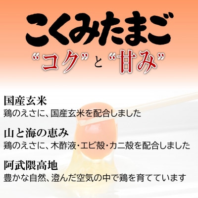 【毎月定期便】こくみたまご 5kg入 (78個前後) 全12回