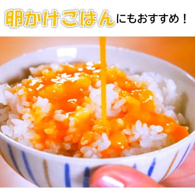 【毎月定期便】こくみたまご 5kg入 (78個前後) 全12回