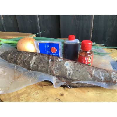 藁焼きカツオのたたき(1節 500g～600g)薬味等 5点セット 冷蔵 大サイズ【R00836】