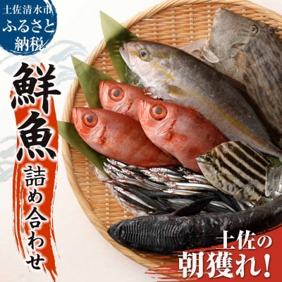 【朝獲れ直送】鮮魚ボックス(鮮魚セット)以布利定置網 3〜4人前相当 詰め合わせ【S00818】