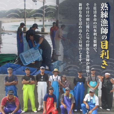 【朝獲れ直送】鮮魚ボックス(鮮魚セット)以布利定置網 3〜4人前相当 詰め合わせ【S00818】