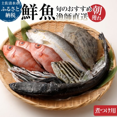 旬の朝獲れ鮮魚(煮つけ用)漁師おすすめセット【以布利定置網　漁師直送】【S00820】