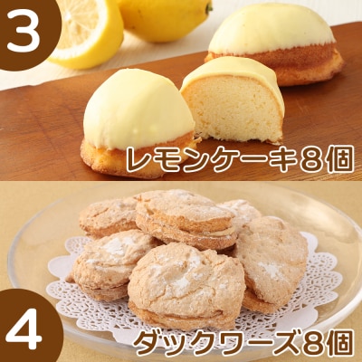スイーツ定期便(5回コース)お菓子 ケーキ マドレーヌ 洋菓子 お楽しみ【J00232】
