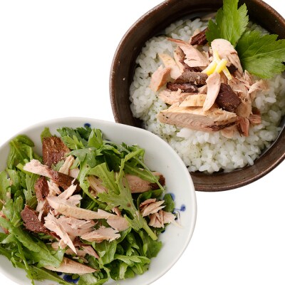 鰹BAR for Sports(塩レモン味 50本)筋トレ 保存食 栄養補給【R00652】