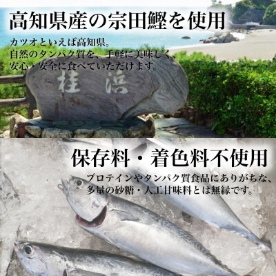 鰹BAR for Sports(塩レモン味 50本)筋トレ 保存食 栄養補給【R00652】