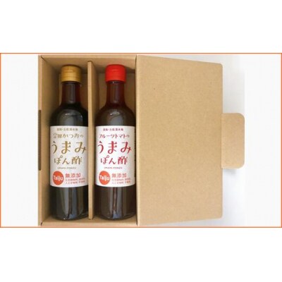 無添加 宗田かつおのうまみぽん酢 2種セット(各300ml×1本)フルーツトマト味【R00124】