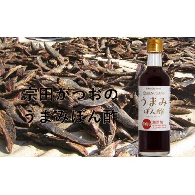 無添加 宗田かつおのうまみぽん酢 2種セット(各300ml×1本)フルーツトマト味【R00124】