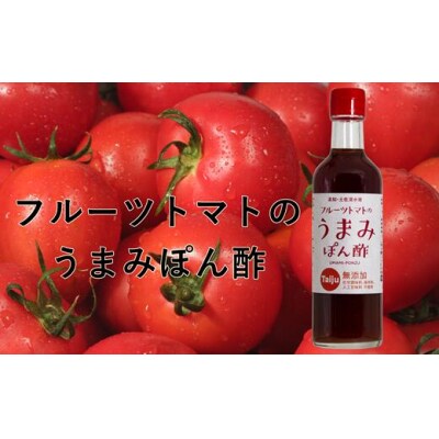 無添加 宗田かつおのうまみぽん酢 2種セット(各300ml×1本)フルーツトマト味【R00124】