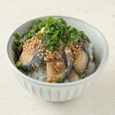 清水さばのしめ鯖2枚セット(即日〆ブランドゴマサバ中サイズ・1枚約110～130g)【R00125】