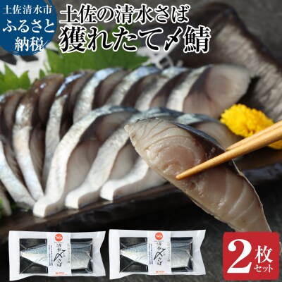獲れたて土佐の清水さば　〆鯖2枚セット(ブランドゴマサバ・1枚約170～210g)【R01779】