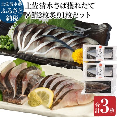 獲れたて土佐の清水さば〆鯖2枚&炙り〆鯖1枚セット(1枚約170～210g)【R00457】