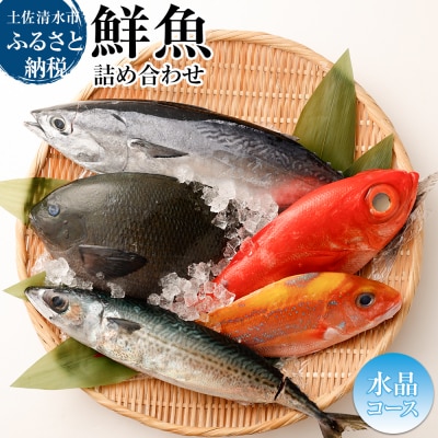 おまかせ!季節の鮮魚 お楽しみセット(2万円水晶コース)食べ比べ 天然魚 魚介 海鮮【R01215】