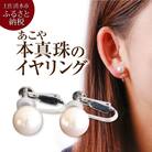 あこや本真珠のイヤリング(8mm珠・スタッドタイプ・ホワイトピンクカラー)【R00708】