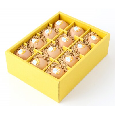 ましくんの完全放し飼い土佐ジローの卵(12個入り)もみ殻梱包 ブランド卵 タマゴ【R00176】