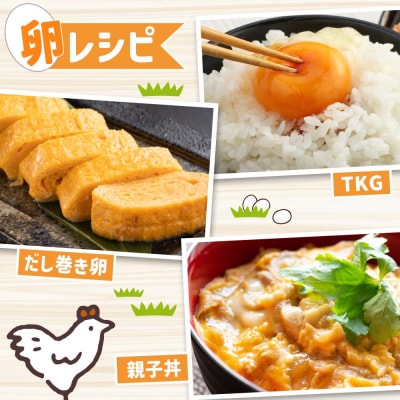 ましくんの完全放し飼い土佐ジローの卵(12個入り)もみ殻梱包 ブランド卵 タマゴ【R00176】
