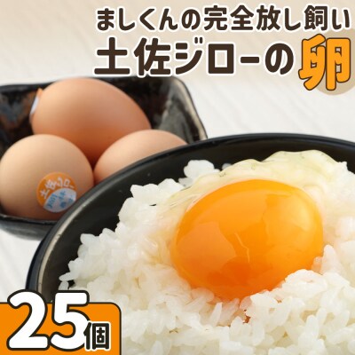 ましくんの完全放し飼い土佐ジローの卵(25個入り)もみ殻梱包 ブランド卵【R00443】