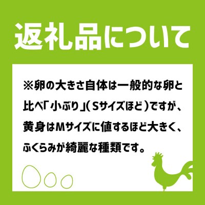 土佐ジローの卵 (12個入り×2箱)もみ殻梱包 ブランド卵 タマゴ 完全放し飼い【R00444】