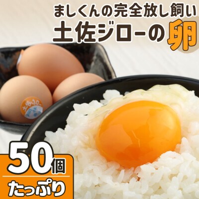 土佐ジローの卵 (25個入り×2箱)もみ殻梱包 ブランド卵 タマゴ 完全放し飼い【R00632】