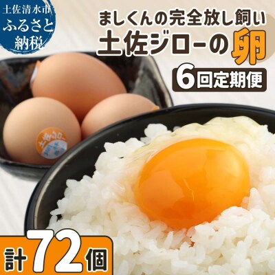 土佐ジローの卵 定期便(12個入り×6回)もみ殻梱包 ブランド卵 タマゴ たまご【J00024】