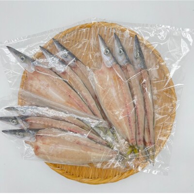 無添加 干物 カマスの開き3袋 合計9枚～12枚入り おつまみ 魚介 焼き魚 【R00823】