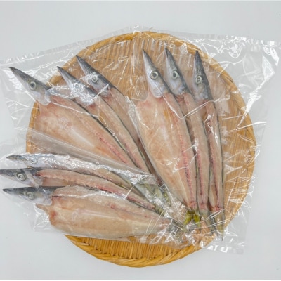 無添加 干物 カマスの開き3袋 合計9枚～12枚入り おつまみ 魚介 焼き魚 【R00823】