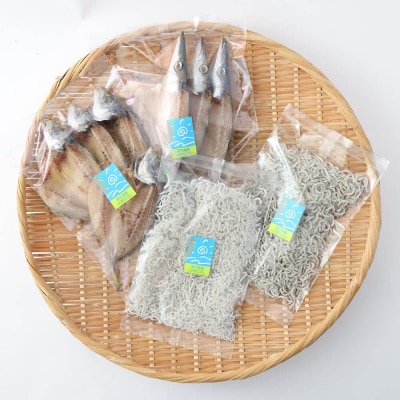 浜口海産物店のじゃこ2種と干物2種セット　シラス 無添加 釜揚げ【R00013】