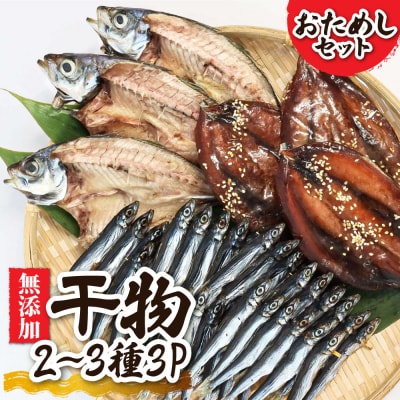無添加 季節の干物2～3種類おためしセット(ギフト・お歳暮・お中元対応)塩のみ使用【R00795】