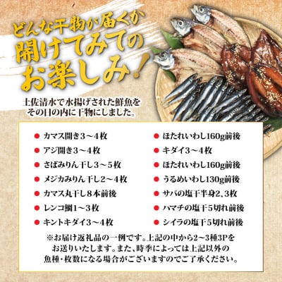 【お試し 干物セット】季節の魚入り 干物詰め合わせセット 2～3種類【乾物・ギフト対応】R00795