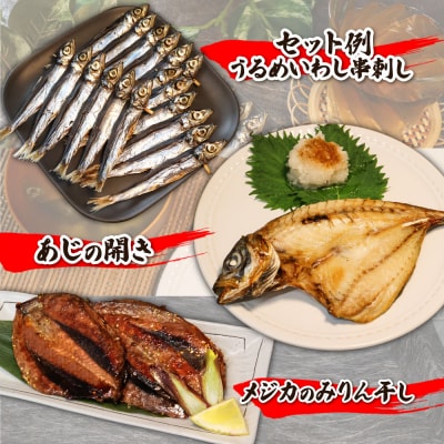 【お試し 干物セット】季節の魚入り 干物詰め合わせセット 2～3種類【乾物・ギフト対応】R00795