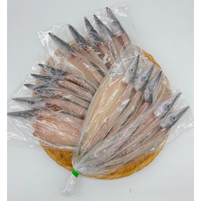 無添加 干物 カマスの開き3袋 合計12枚～15枚入り 魚介 焼き魚【R00826】